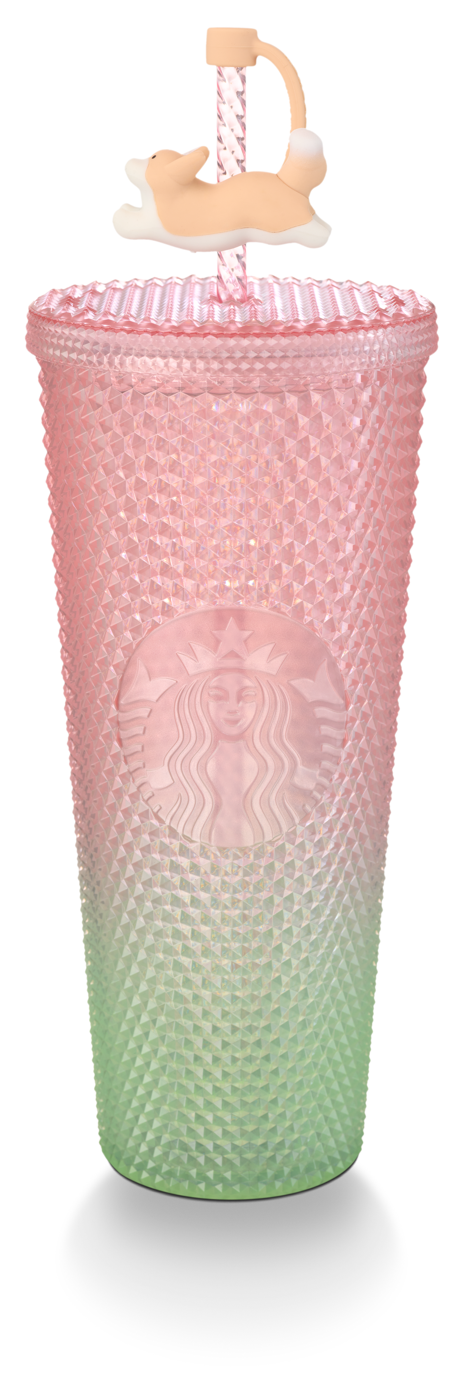 Spring Ombre Corgi Cold Cup with Topper 24oz - Starbucks Australia